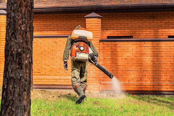 Trusted Termite Control service in Greybull, WY - Nex Pest Control